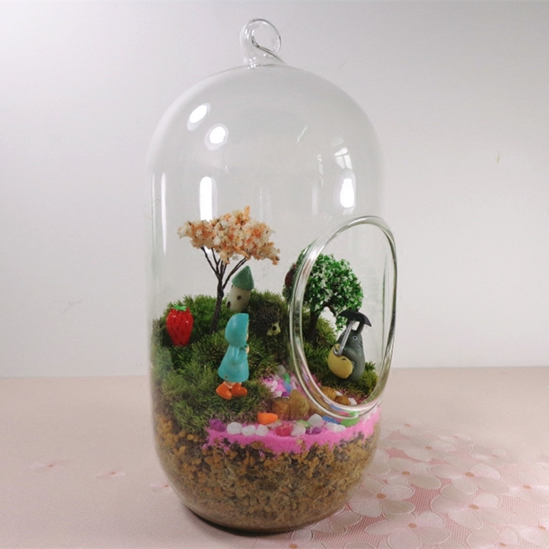 2pcs/pack 10*20cm Big Size Cyl - Terrarium Glass Bottle 评论和价格