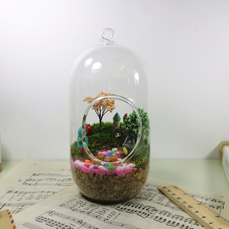 2pcs/pack 10*20cm Big Size Cyl - Terrarium Glass Bottle 评论和价格