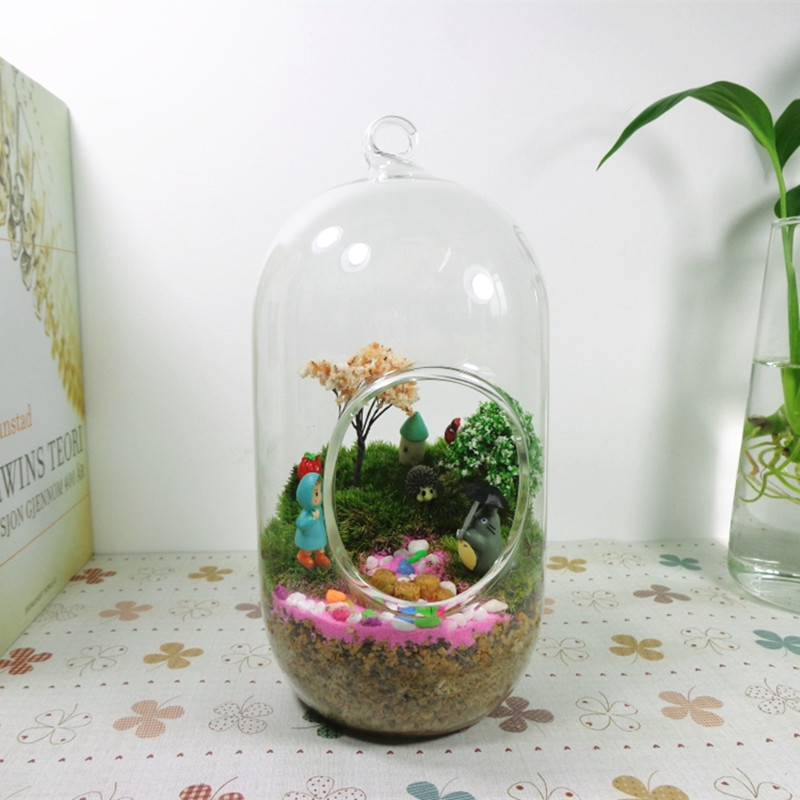 2pcs/pack 10*20cm Big Size Cyl - Terrarium Glass Bottle 评论和价格