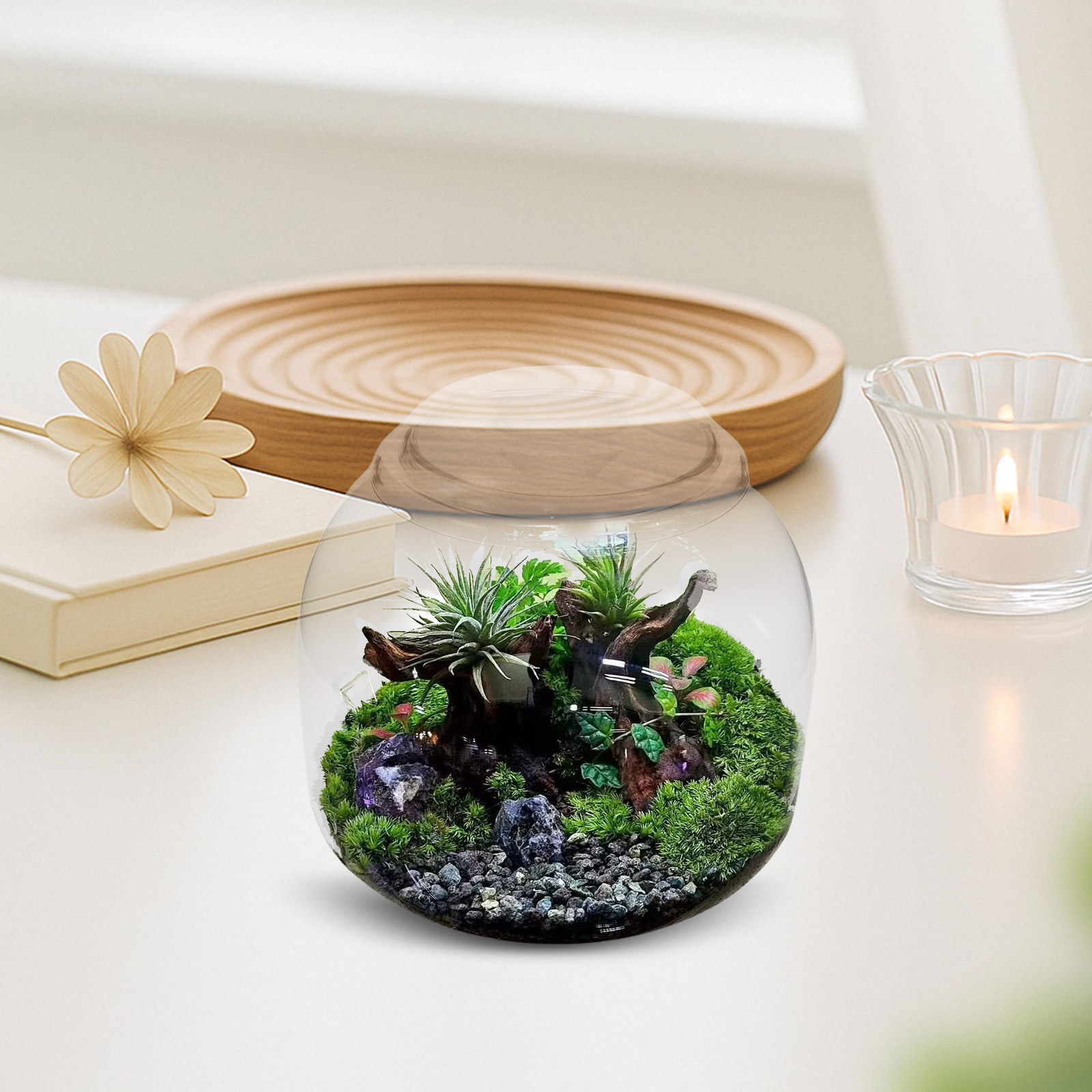 Glass Terrarium Jar with Lid T - Terrarium Glass Bottle 评论和价格