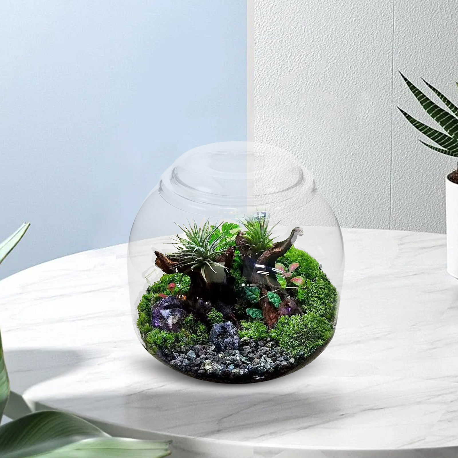 Glass Terrarium Jar with Lid T - Terrarium Glass Bottle 评论和价格