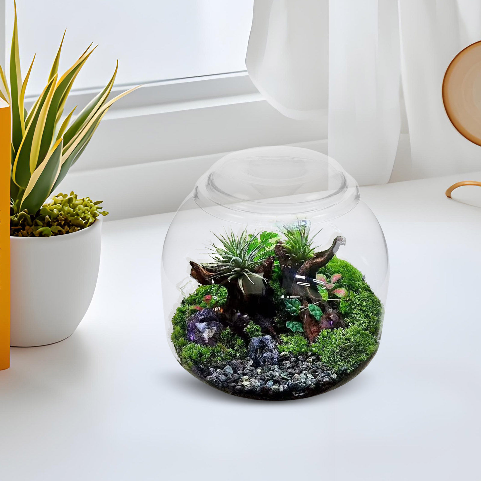 Glass Terrarium Jar with Lid T - Terrarium Glass Bottle 评论和价格