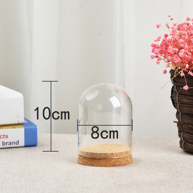 Glass Dome Cover For Flower Su - Terrarium Glass Bottle 评论和价格