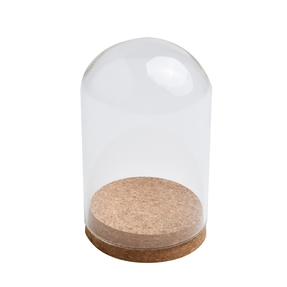 Glass Dome Cover For Flower Su - Terrarium Glass Bottle 评论和价格