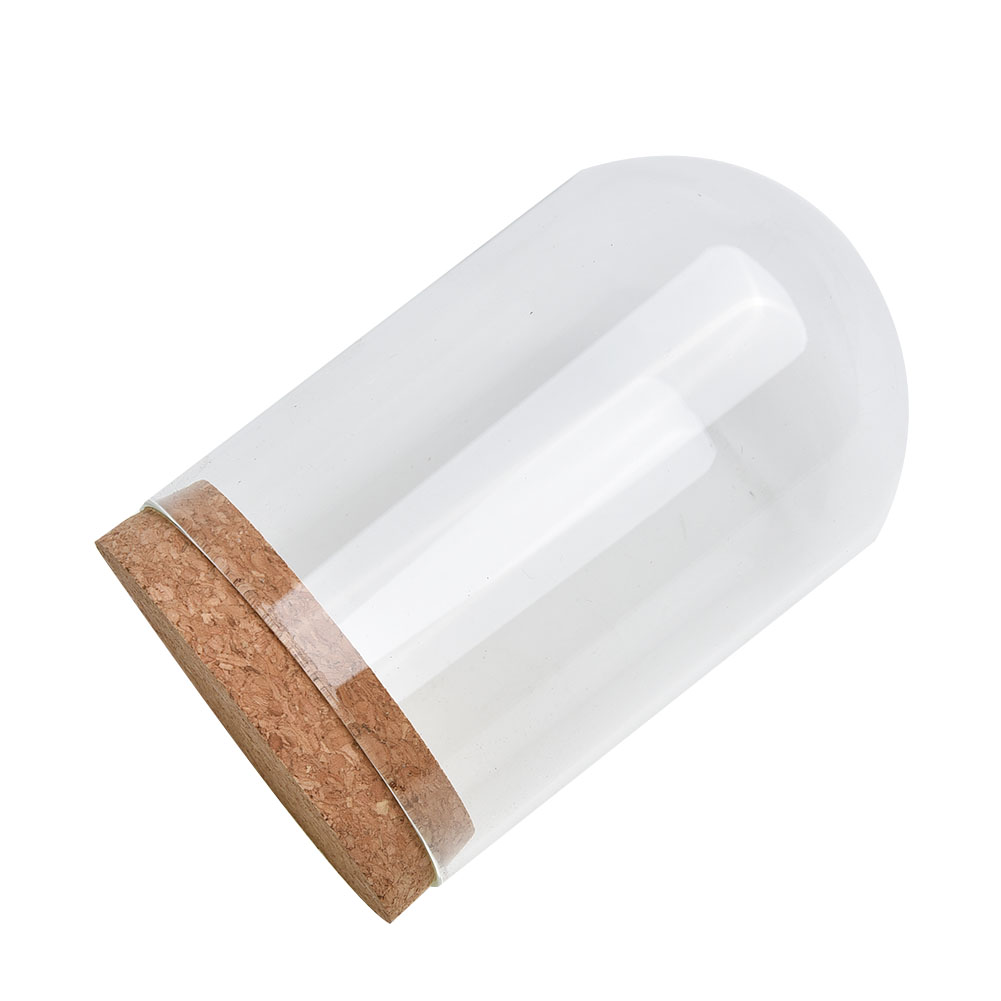 Glass Dome Cover For Flower Su - Terrarium Glass Bottle 评论和价格