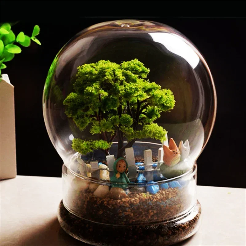 New 2in1 Spherical Terrarium G - Terrarium Glass Bottle 评论和价格
