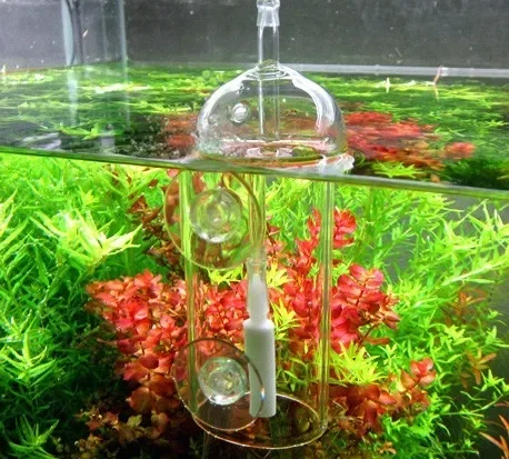 VIV Do Device Aquarium Cylinde - Terrarium Glass Bottle 评论和价格