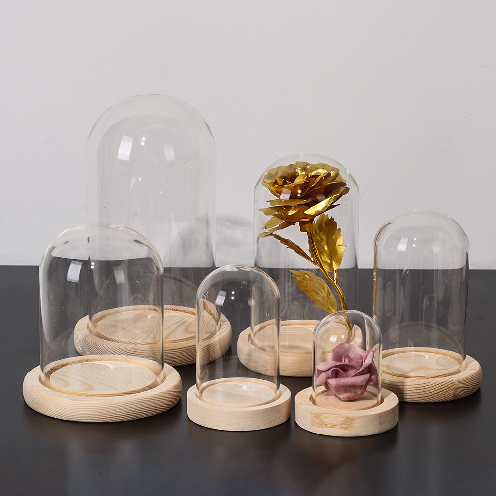 Home Decor Plants Jar Terrariu - Home Decor Vase With Flowers 评论和价格