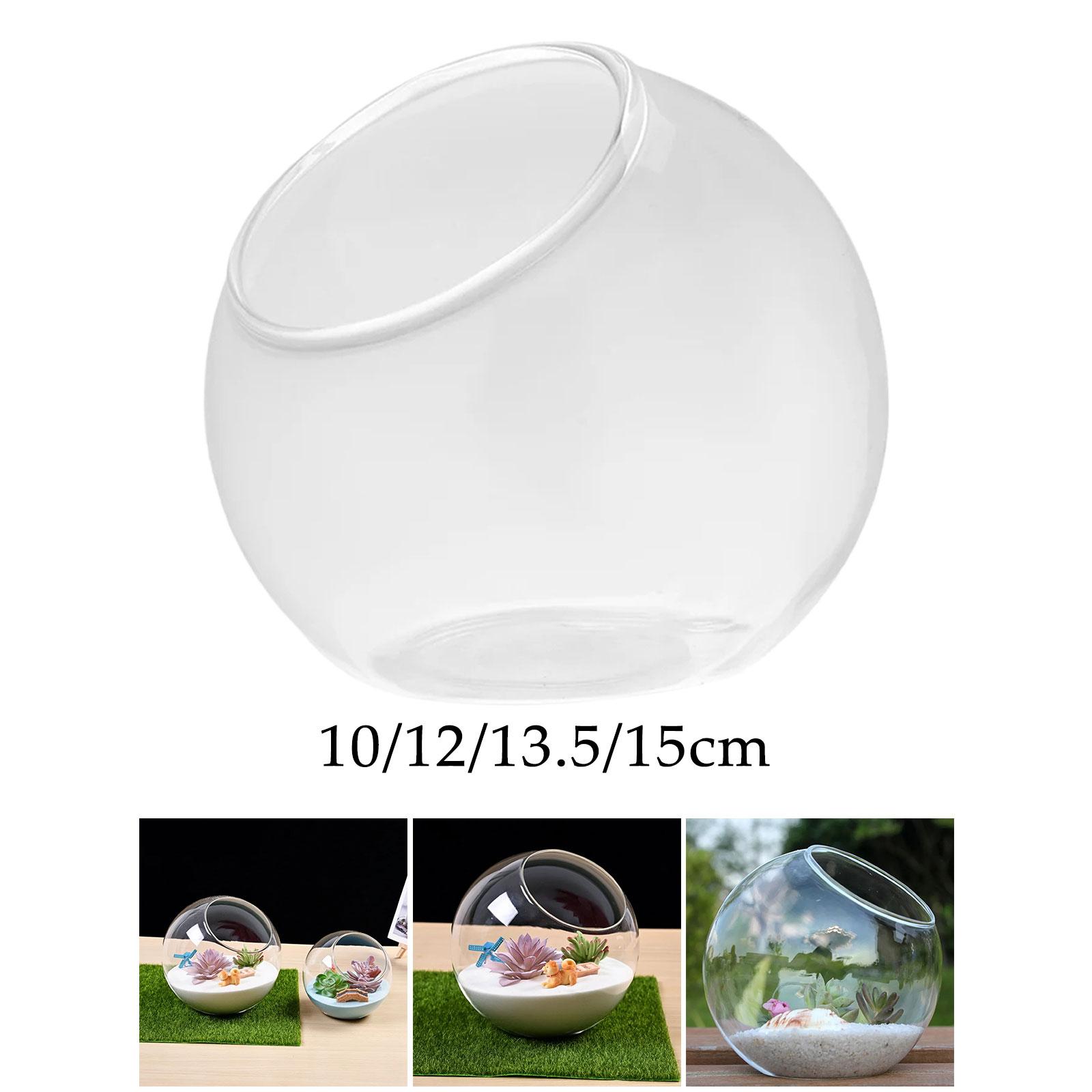 Terrarium Glass Vase Unique Ce - Terrarium Glass Bottle 评论和价格