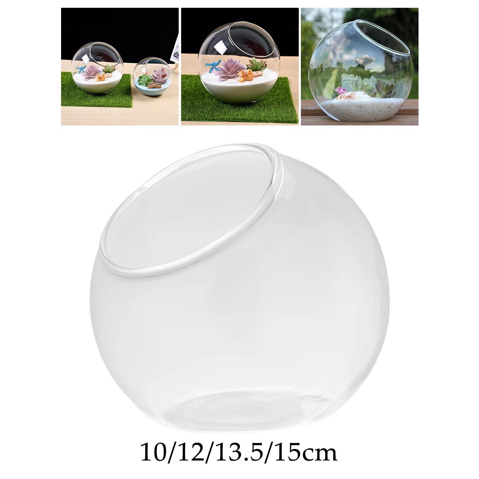 Terrarium Glass Vase Unique Ce - Terrarium Glass Bottle 评论和价格