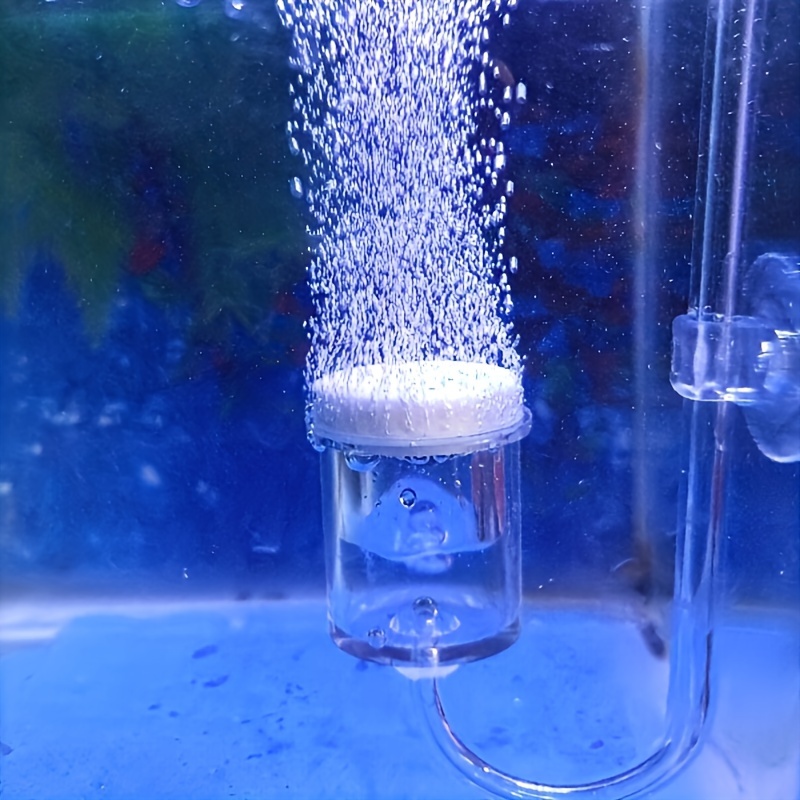 Aquarium Glass CO2 Atomizer Di - Terrarium Glass Bottle 评论和价格