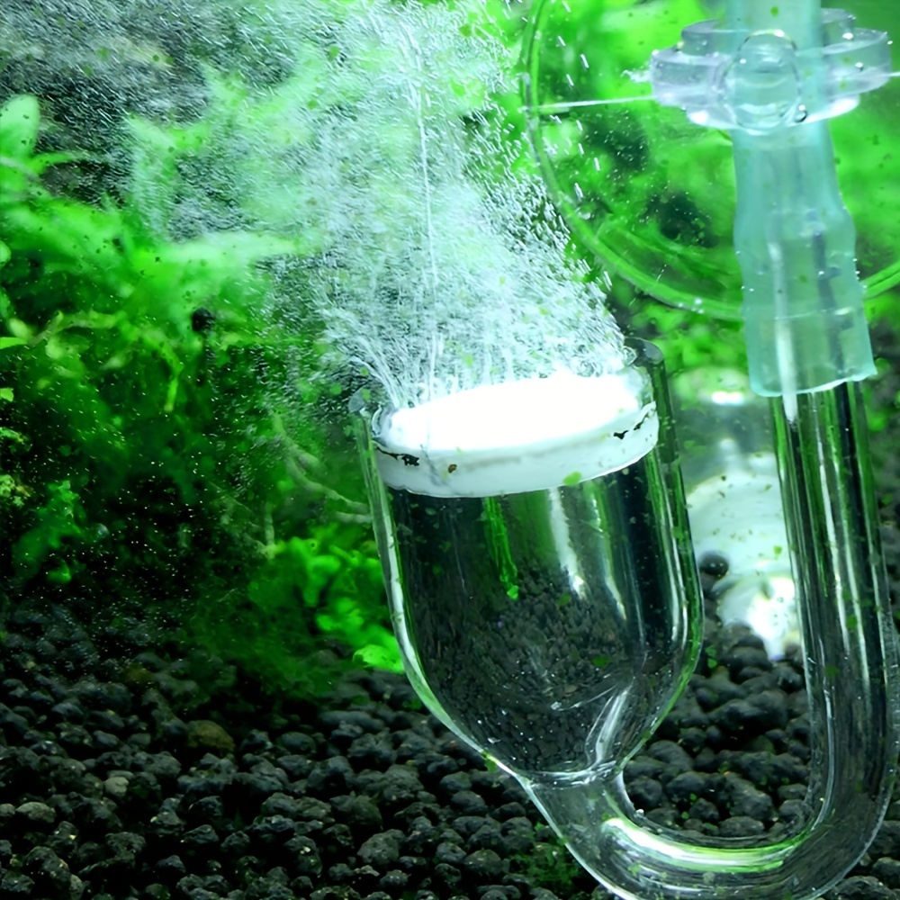 Aquarium Glass CO2 Atomizer Di - Terrarium Glass Bottle 评论和价格