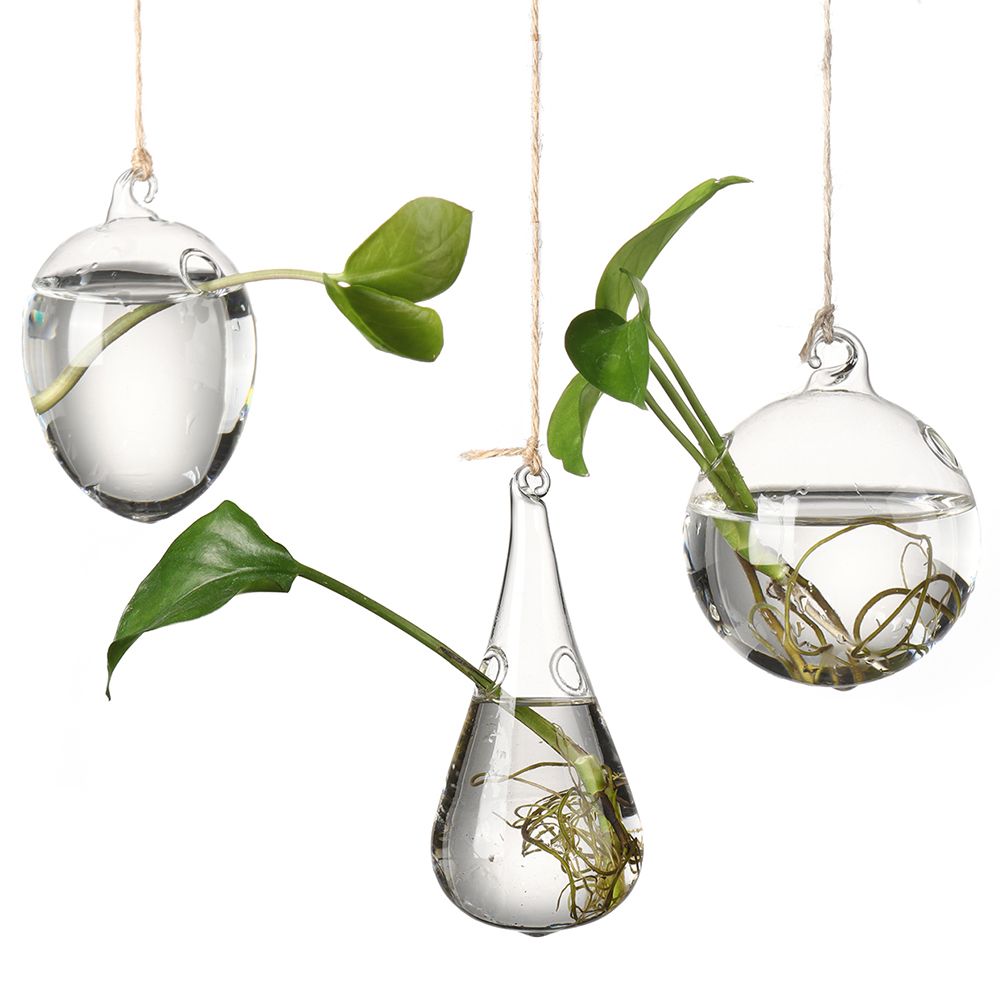Creative Hanging Glass Vase Hy - Terrarium Glass Bottle 评论和价格