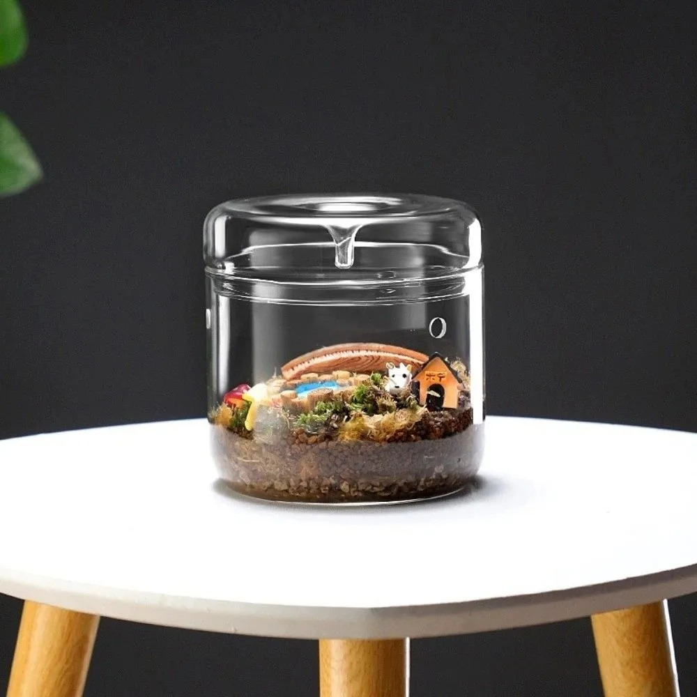 Micro Landscape Glass Vase wit - Terrarium Glass Bottle 评论和价格