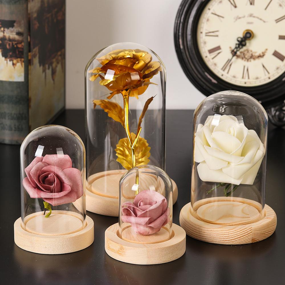 Glass Cloche Jar Display Stand - Terrarium Glass Bottle 评论和价格