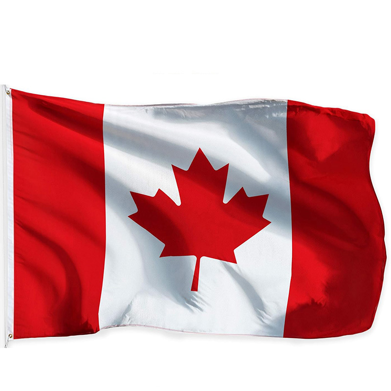 2026 World Group B Canada Bosn - Home Decor Qatar 评论和价格