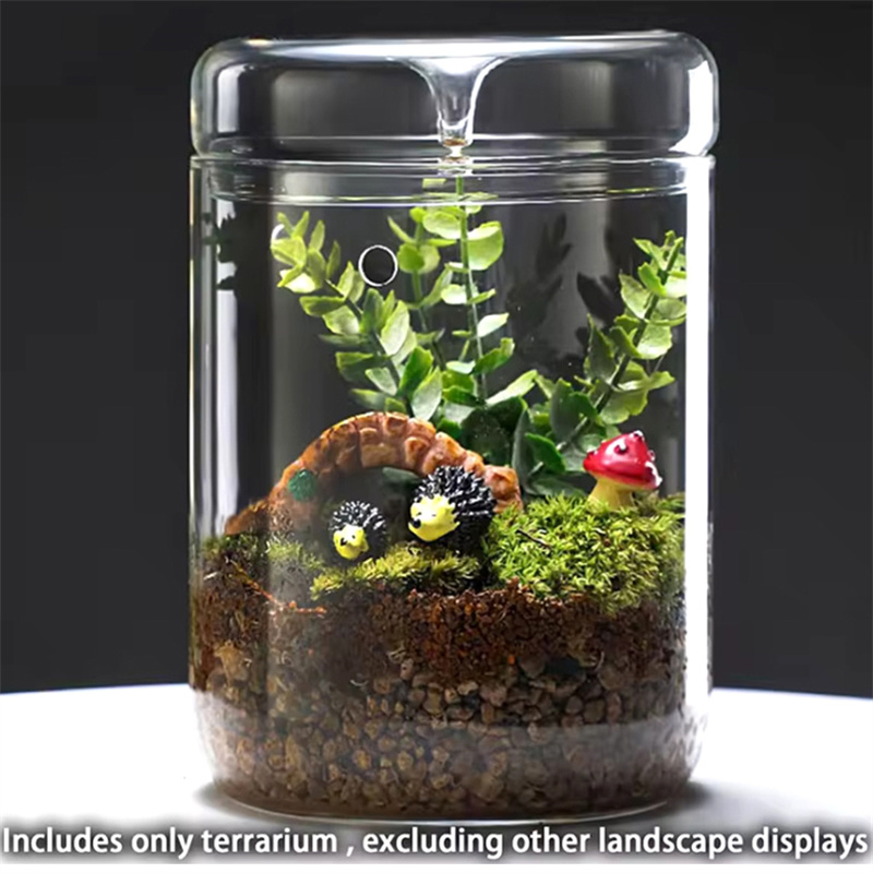 Glass Bottles Creativity Dew C - Terrarium Glass Bottle 评论和价格