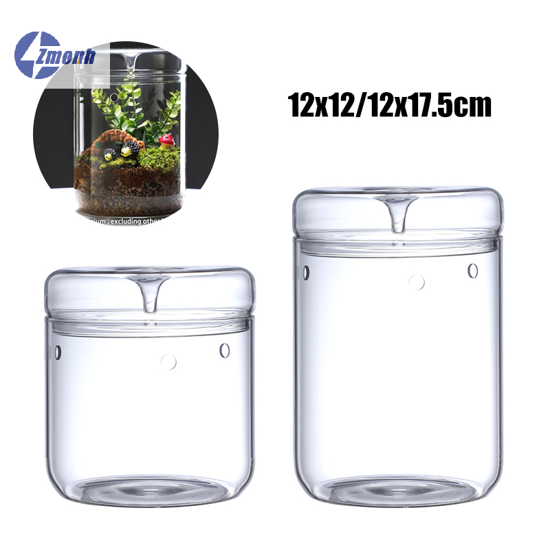 New！Micro Landscape Glass Bott - Terrarium Glass Bottle 评论和价格