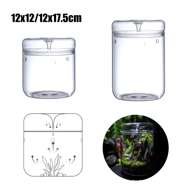 New！Micro Landscape Glass Bott - Terrarium Glass Bottle 评论和价格