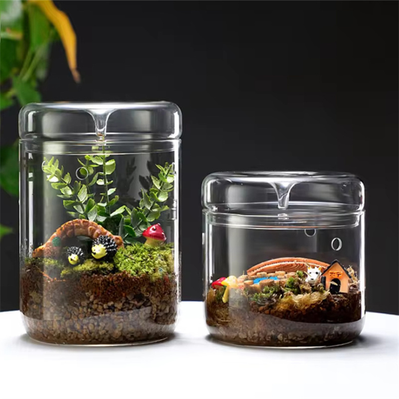New！Micro Landscape Glass Bott - Terrarium Glass Bottle 评论和价格
