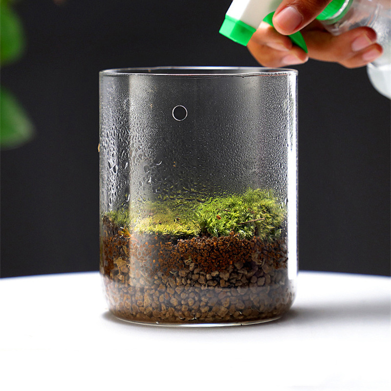 New！Micro Landscape Glass Bott - Terrarium Glass Bottle 评论和价格