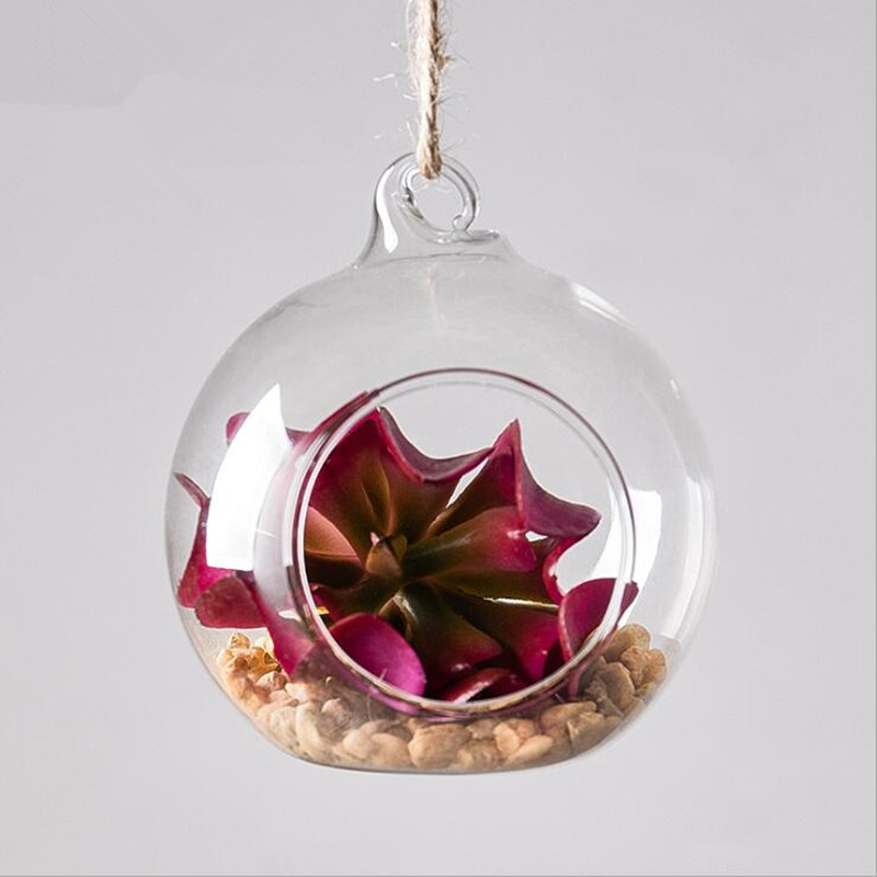 Diameter=10cm Middle Size Hang - Terrarium Glass Bottle 评论和价格