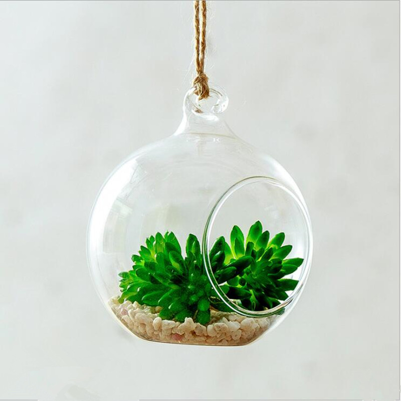 Diameter=10cm Middle Size Hang - Terrarium Glass Bottle 评论和价格