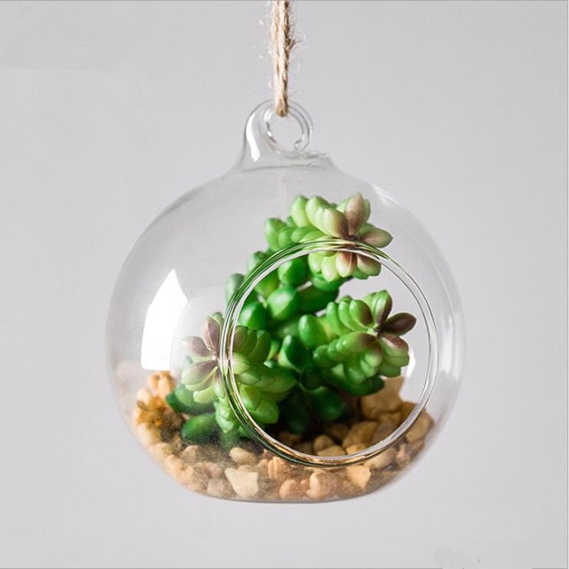 Diameter=10cm Middle Size Hang - Terrarium Glass Bottle 评论和价格