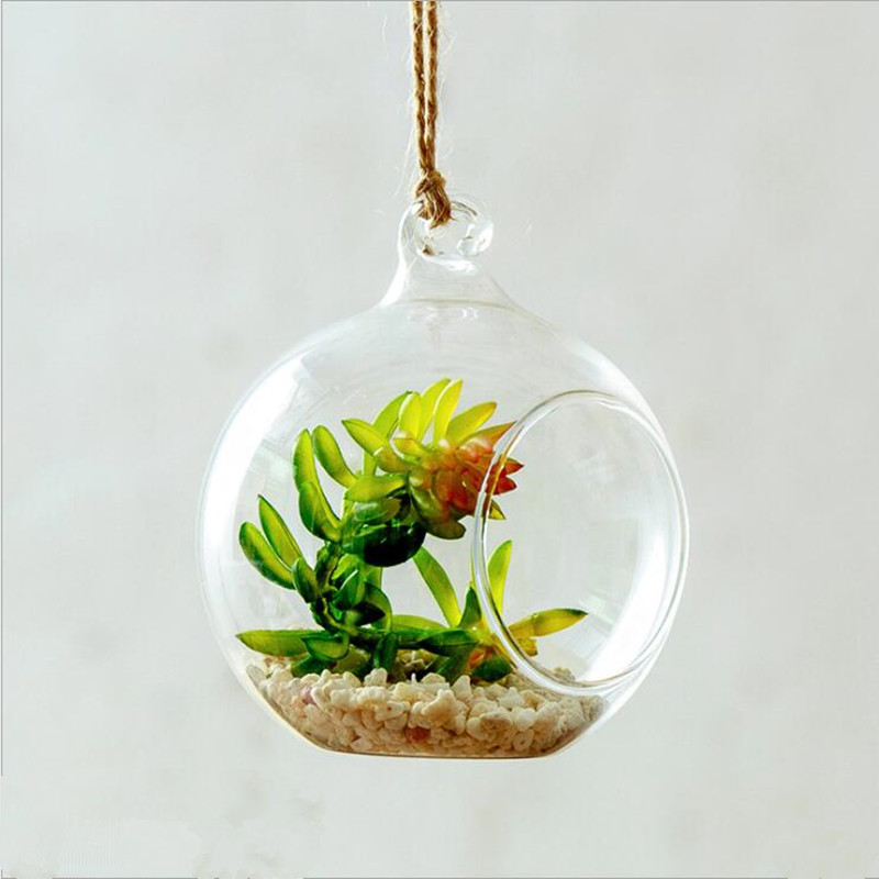 Diameter=10cm Middle Size Hang - Terrarium Glass Bottle 评论和价格