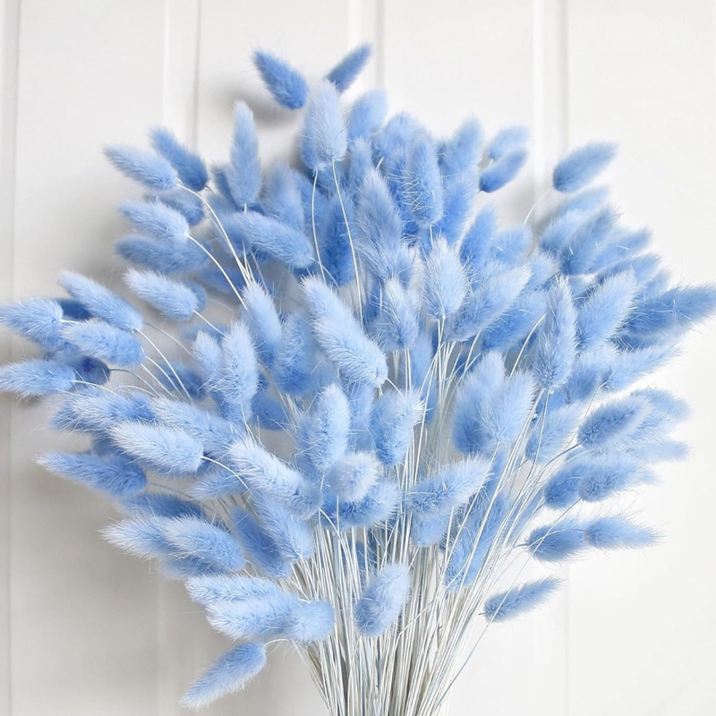 100PCS Blue Hare's-tail Grass  - Home Decor Vase With Flowers 评论和价格