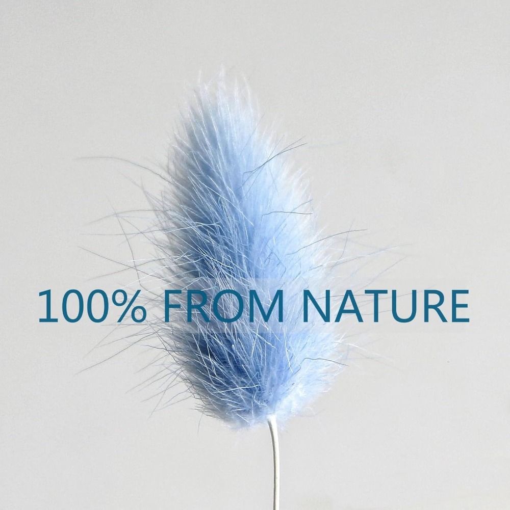 100PCS Blue Hare's-tail Grass  - Home Decor Vase With Flowers 评论和价格