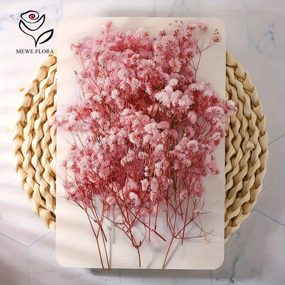 100 Small Branch Dried Baby's  - Home Decor Vase With Flowers 评论和价格